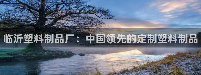 太阳电玩城下载：临沂塑料制品厂：中国领先的定制塑料制品