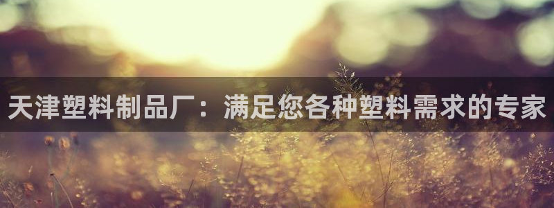 太阳集团0638：天津塑料制品厂：满足您各种塑料需求的专家