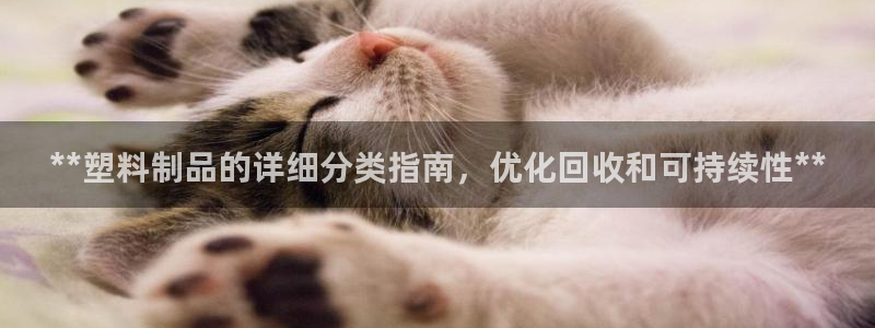 太阳成集团lougo图片：**塑料制品的详细分类指南，优化回
