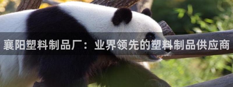 太阳http下载：襄阳塑料制品厂：业界领先的塑料制品供应商