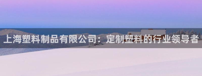 太阳集团游戏城旧版：上海塑料制品有限公司：定制塑料的行业领导