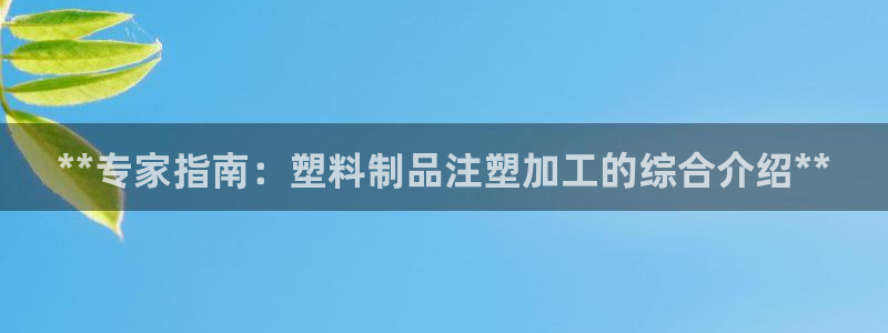 太阳集团贵宾网站：**专家指南：塑料制品注塑加工的综合介绍*