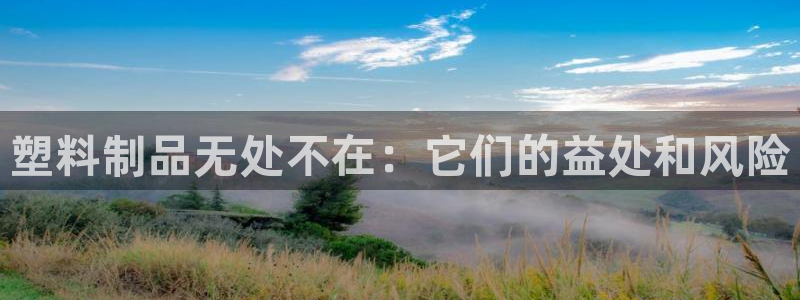 太阳诚集团下载：塑料制品无处不在：它们的益处和风险