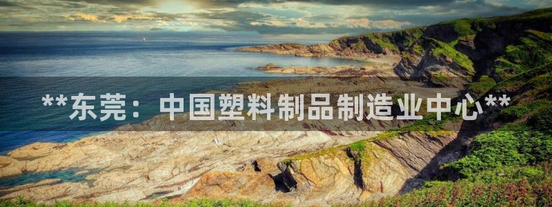 太阳成集团APP：**东莞：中国塑料制品制造业中心**