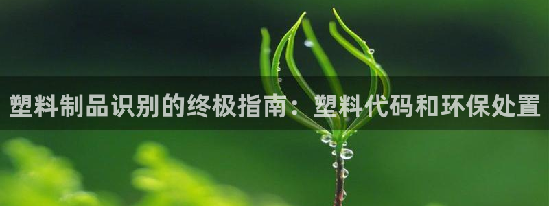 太阳集团控股有限公司官网香港：塑料制品识别的终极指南：塑料代