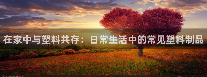 太阳集团游戏App：在家中与塑料共存：日常生活中的常见塑料制