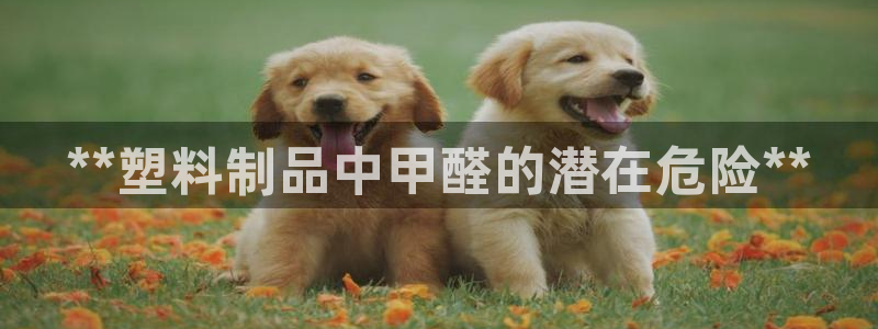 太阳app下载安装：**塑料制品中甲醛的潜在危险**