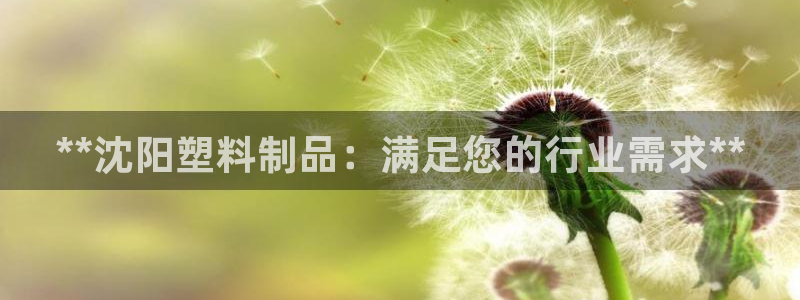 太阳app官网：**沈阳塑料制品：满足您的行业需求**