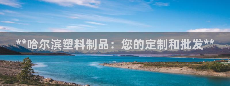 太阳sun网站：**哈尔滨塑料制品：您的定制和批发**