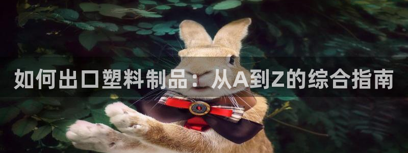 太阳集团游戏城：如何出口塑料制品：从A到Z的综合指南