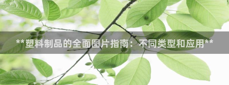 太阳集团古天乐：**塑料制品的全面图片指南：不同类型和应用*