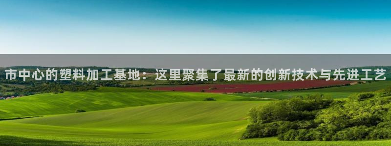 太阳诚集团是干什么的：市中心的塑料加工基地：这里聚集了最新的