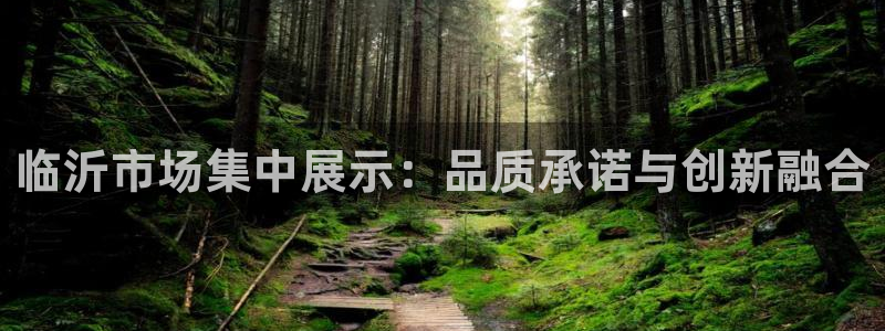 太阳电竞：临沂市场集中展示：品质承诺与创新融合