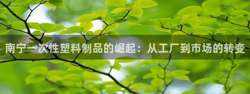 太阳集团游戏城旧版2.1.9：南宁一次性塑料制品的崛起：从工