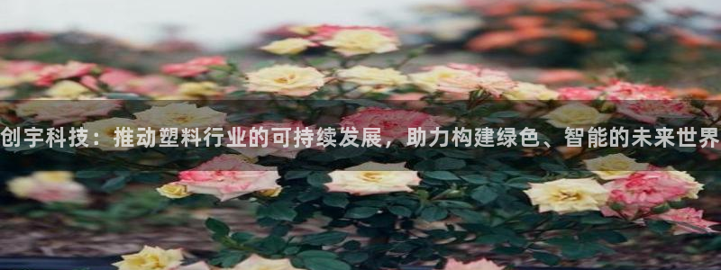 太阳2平台下载：创宇科技：推动塑料行业的可持续发展，助力构建