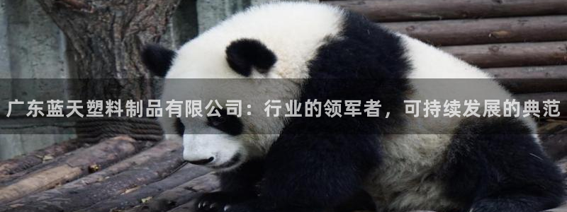太阳集团游戏2138网站：广东蓝天塑料制品有限公司：行业的领
