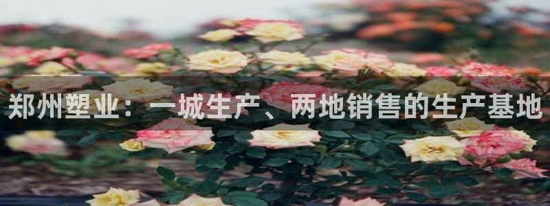 太阳游戏盒子：郑州塑业：一城生产、两地销售的生产基地