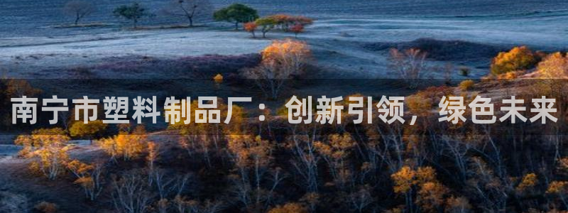 太阳成集团娱乐：南宁市塑料制品厂：创新引领，绿色未来