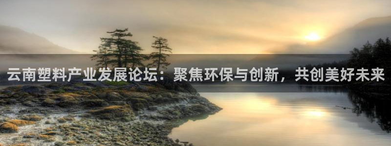 太阳成集团控股：云南塑料产业发展论坛：聚焦环保与创新，共创美