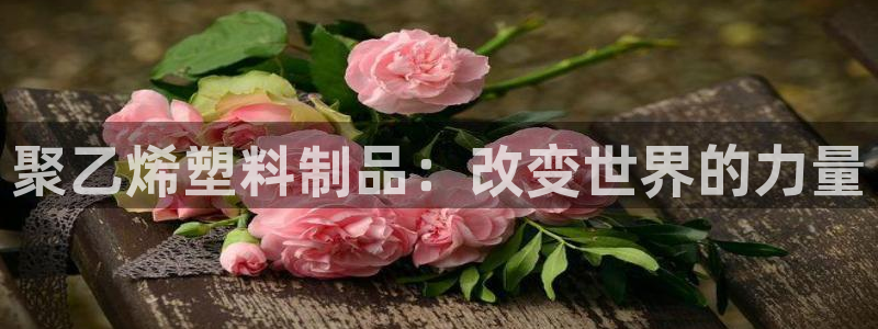 太阳控股集团有限公司董事长：聚乙烯塑料制品：改变世界的力量