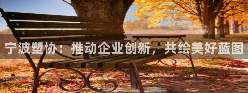 曲靖红太阳集团：宁波塑协：推动企业创新，共绘美好蓝图