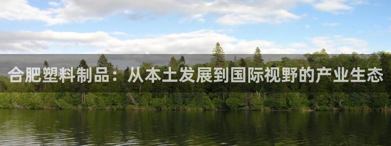 曲靖红太阳集团：合肥塑料制品：从本土发展到国际视野的产业生态