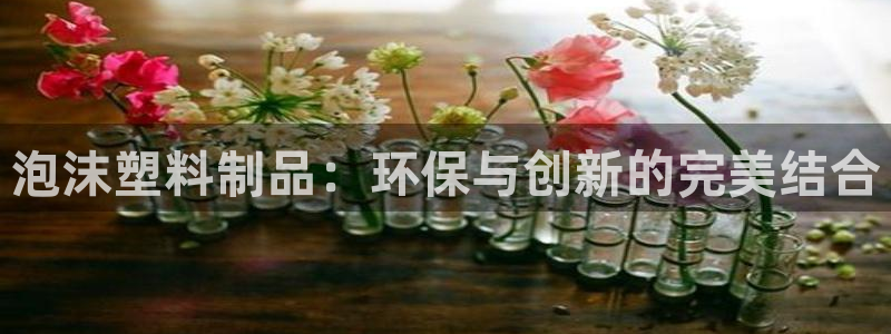 古天乐只有太阳能黑他：泡沫塑料制品：环保与创新的完美结合