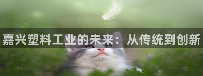 太阳集团2021备用网址：嘉兴塑料工业的未来：从传统到创新
