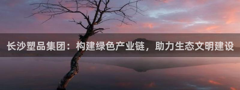 太阳集团游戏官方网址8827：长沙塑品集团：构建绿色产业链，