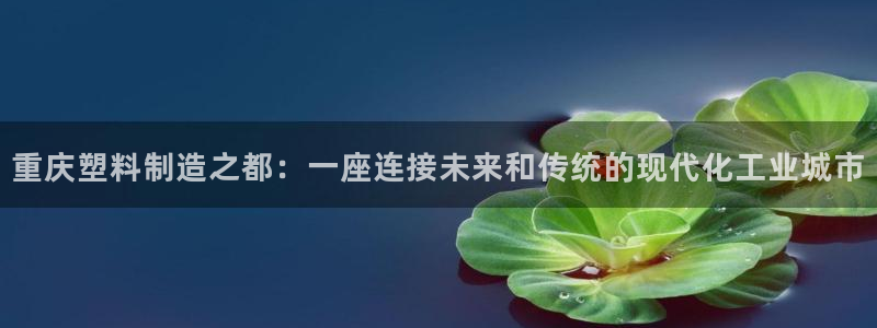 太阳集团2018登录网址是多少：重庆塑料制造之都：一座连接未