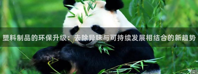 太阳游戏盒子：塑料制品的环保升级：去除异味与可持续发展相结合
