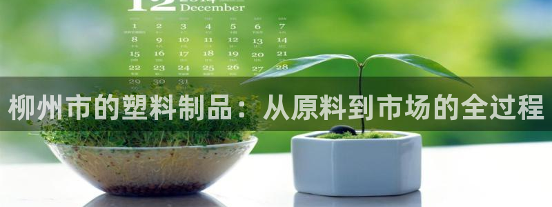 太阳集团电子游戏(中国)有限公司：柳州市的塑料制品：从原料到
