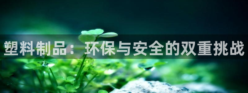 冷たい太阳：塑料制品：环保与安全的双重挑战