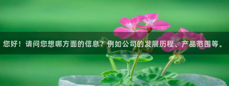 太阳集团是什么公司：您好！请问您想哪方面的信息？例如公司的发