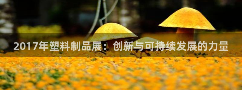 太阳集团网站官网：2017年塑料制品展：创新与可持续发展的力