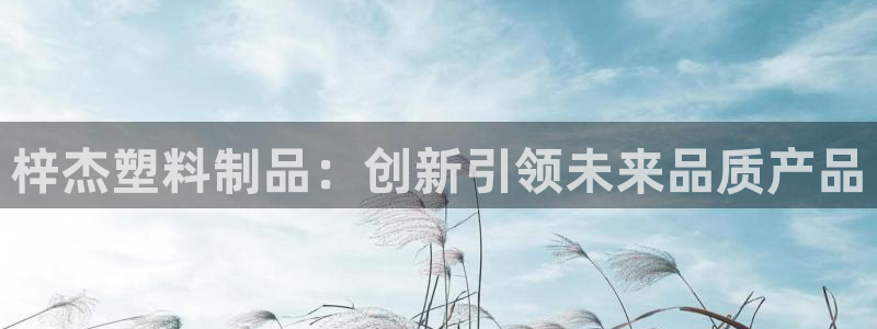 太阳集团怎么样：梓杰塑料制品：创新引领未来品质产品
