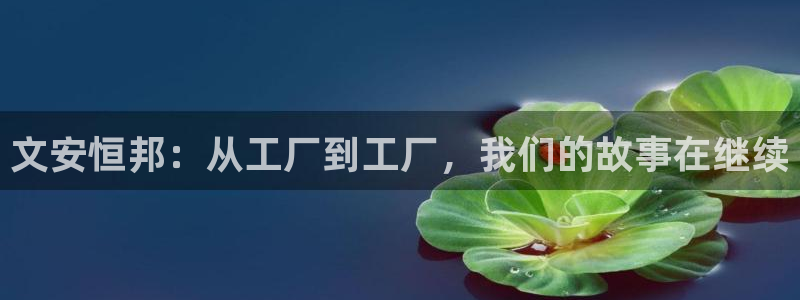 太阳1城集团网址查询：文安恒邦：从工厂到工厂，我们的故事在继