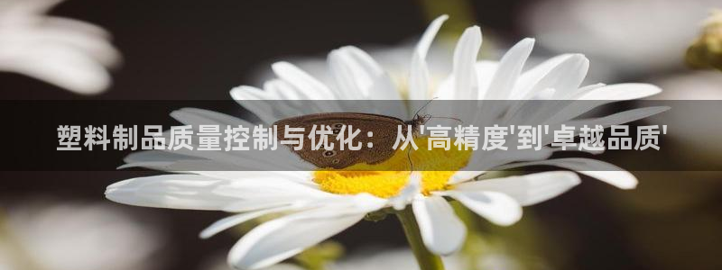 太阳gg注册/登录：塑料制品质量控制与优化：从\