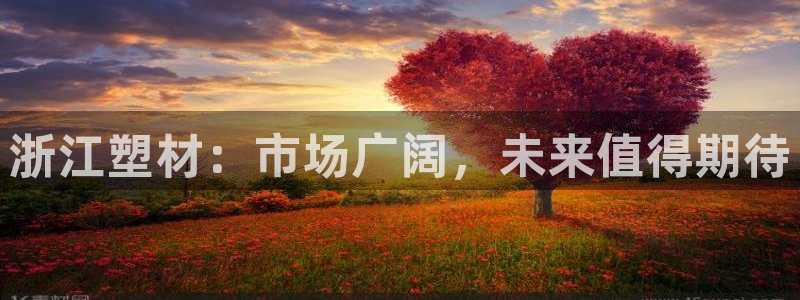 ag太阳集团：浙江塑材：市场广阔，未来值得期待