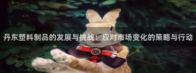 太阳集团备用网址：丹东塑料制品的发展与挑战：应对市场变化的策