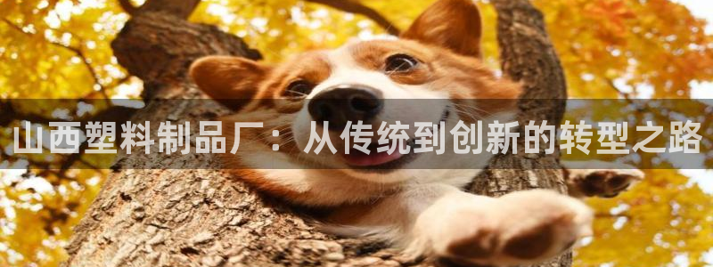 太阳成集团娱乐网站：山西塑料制品厂：从传统到创新的转型之路