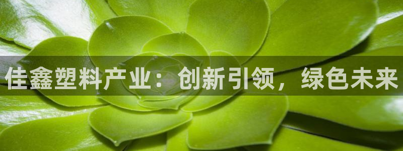 太阳成集团洗米华：佳鑫塑料产业：创新引领，绿色未来