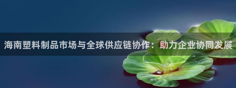 太阳成集团网站5：海南塑料制品市场与全球供应链协作：助力企业
