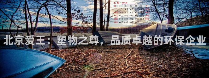 太阳集团电子游戏宙斯：北京爱王：塑物之尊，品质卓越的环保企业