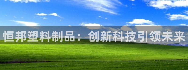 太阳集团网站入口官网下载：恒邦塑料制品：创新科技引领未来