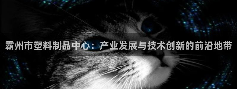 太阳集团董事长：霸州市塑料制品中心：产业发展与技术创新的前沿