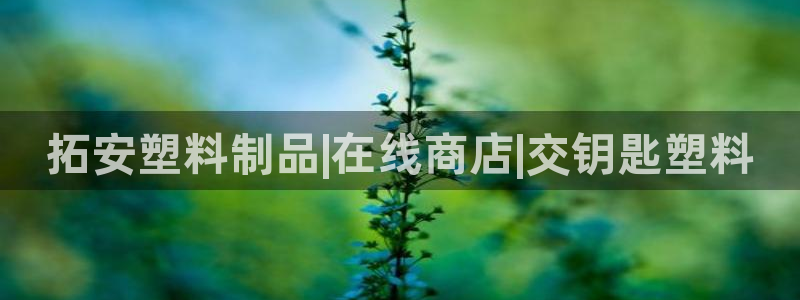 063801太阳集团备用网址：拓安塑料制品|在线商店|交钥匙