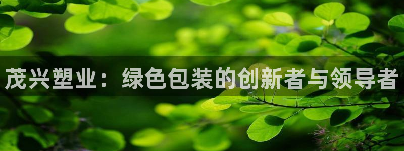 太阳集团所有网址16877：茂兴塑业：绿色包装的创新者与领导