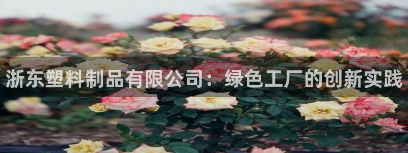 古天乐和太阳集团谁厉害：浙东塑料制品有限公司：绿色工厂的创新
