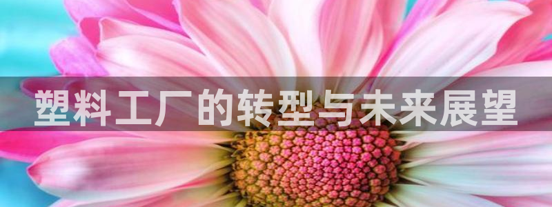 太阳集团在线：塑料工厂的转型与未来展望